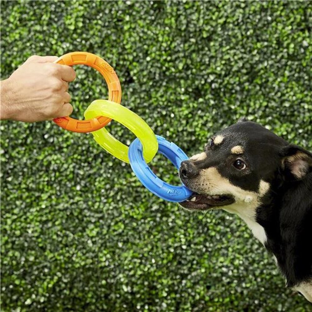 3-Ring Tuff Tug Dog Toy for Medium/Large Dogs, 10.5” - Picture 4 of 5